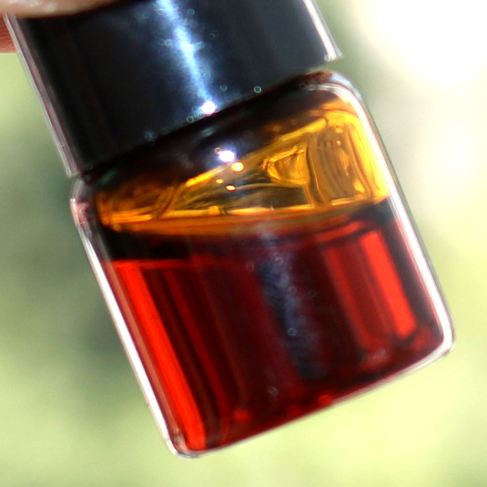 Minyak esensial Kamboja alami, - Sandalwood Perfume Oil ulasan dan harga