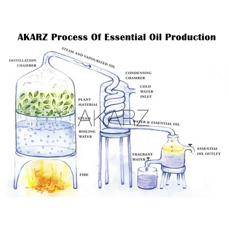 AKARZ Unik Langka Minyak Esens - Sandalwood Perfume Oil ulasan dan harga
