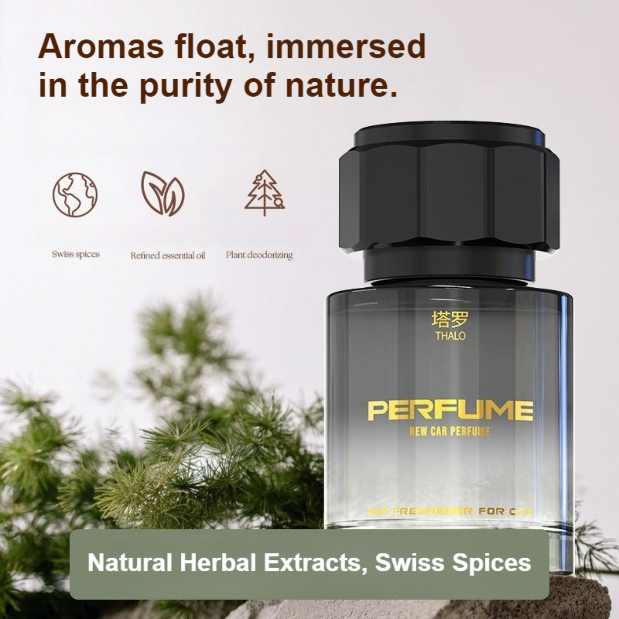 Parfum Pria: Aroma Segar Tahan - Perfume Fragrance Long Lasting ulasan dan harga